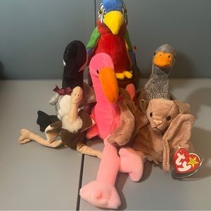 Ty Beanie Baby Lot of various birds (6)